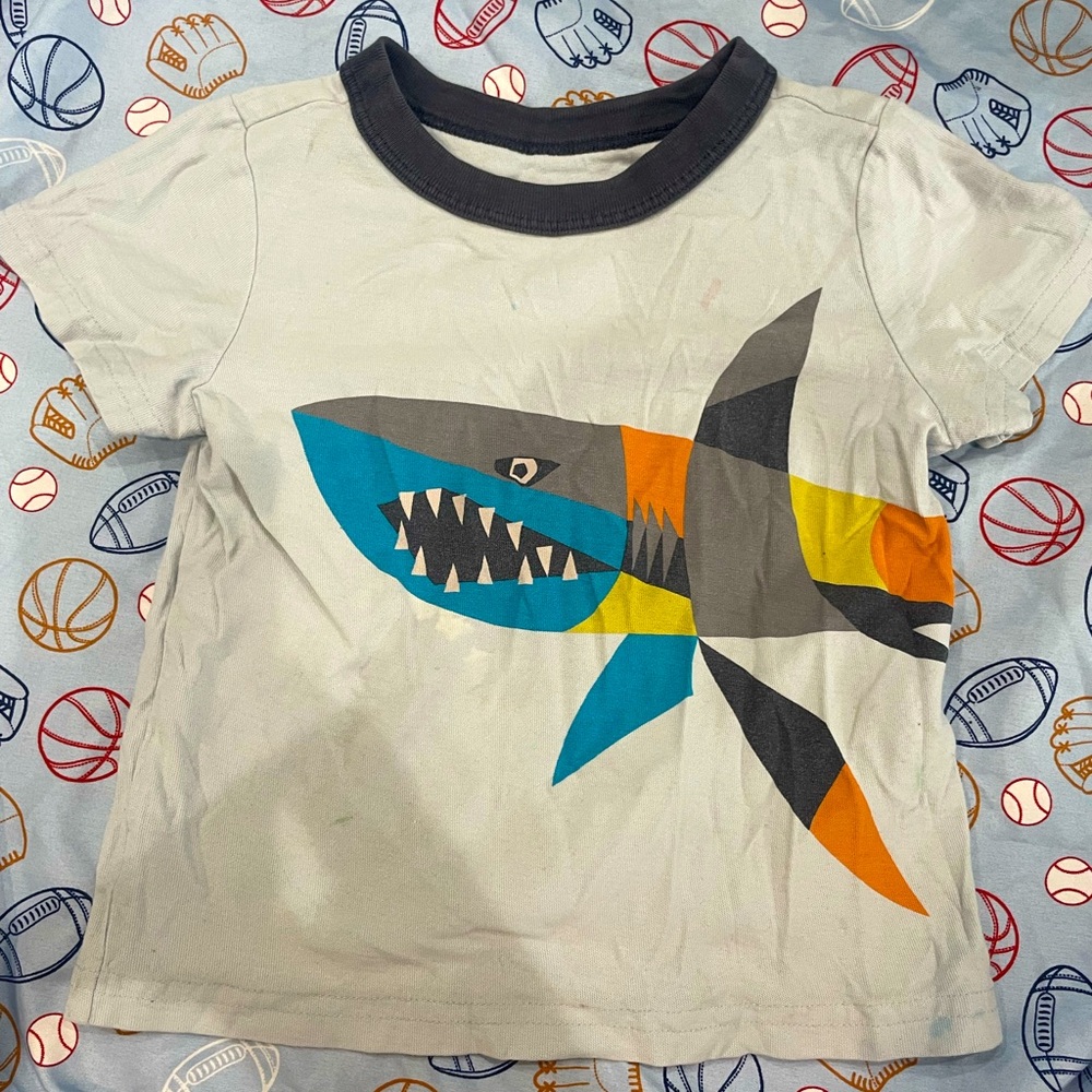 Tea Collection Color Block Shark Shirt